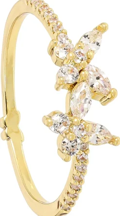 Anello - Gleaming Nature