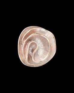 Anello - Mesmerizing Rose