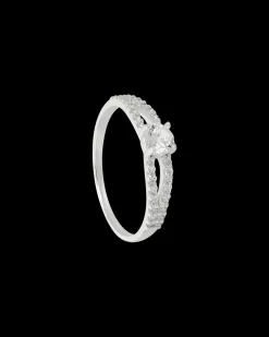 Anello - Time to Sparkle