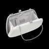 Clutch box - Silver Sparkles