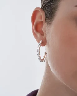 Creoli - Elegant Ice