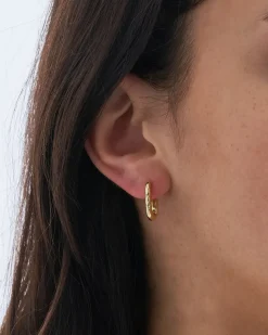 Creoli - Gold Classic