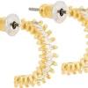 Creoli - Gold Shimmer