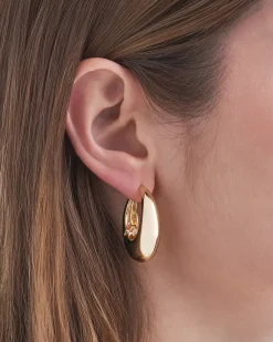 Creoli - Golden Allure