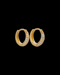 Creoli - Golden Gleam