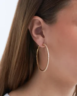Creoli - Golden Hoops