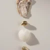 Creoli - Golden Shells