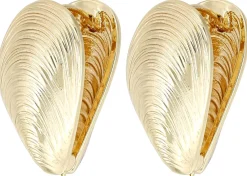 Creoli - Golden Shells