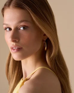 Creoli - Golden Steel