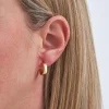 Creoli - Perfect Gold