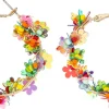 Creoli - Rainbow Flower