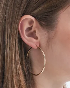 Creoli - Shiny Basics