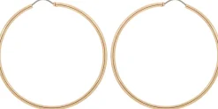 Creoli - Shiny Basics