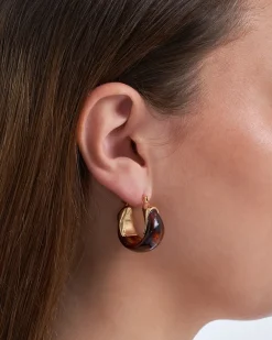 Creoli - Shiny Brown
