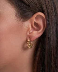 Creoli - Shiny Bubbles
