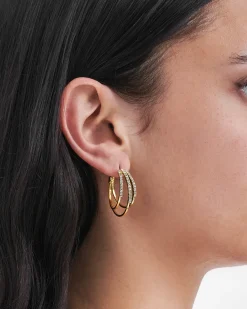 Creoli - Sparkling Dream