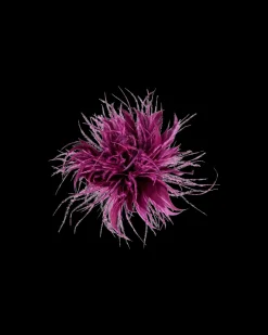 Fermacapelli - Wonderful Purple