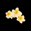 Fermaglio per capelli - Aloha Yellow