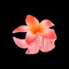Fermaglio per capelli - Flowery Summer