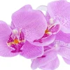 Fermaglio per capelli - Purple Orchid