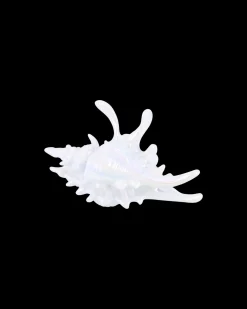 Fermaglio per capelli - White Conch