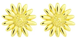 Orecchini a perno - Radiant Flower