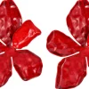 Orecchini a perno - Red Hawaii