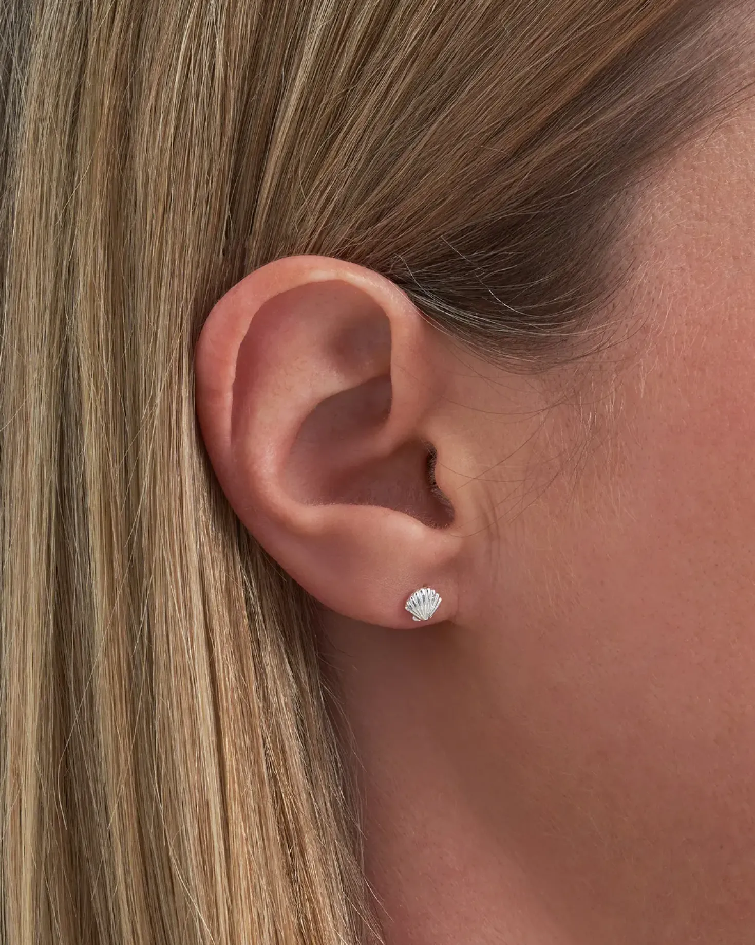 Orecchini a perno - Silver Shell