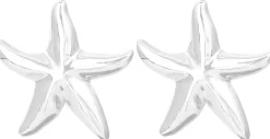 Orecchini a perno - Silver Statement
