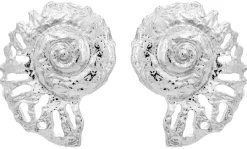 Orecchini a perno - Silver Nautilus