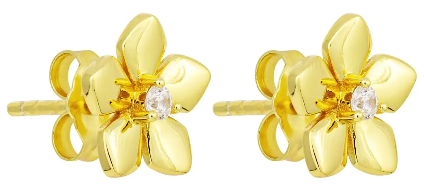 Orecchini a perno - Zirconia Blossom