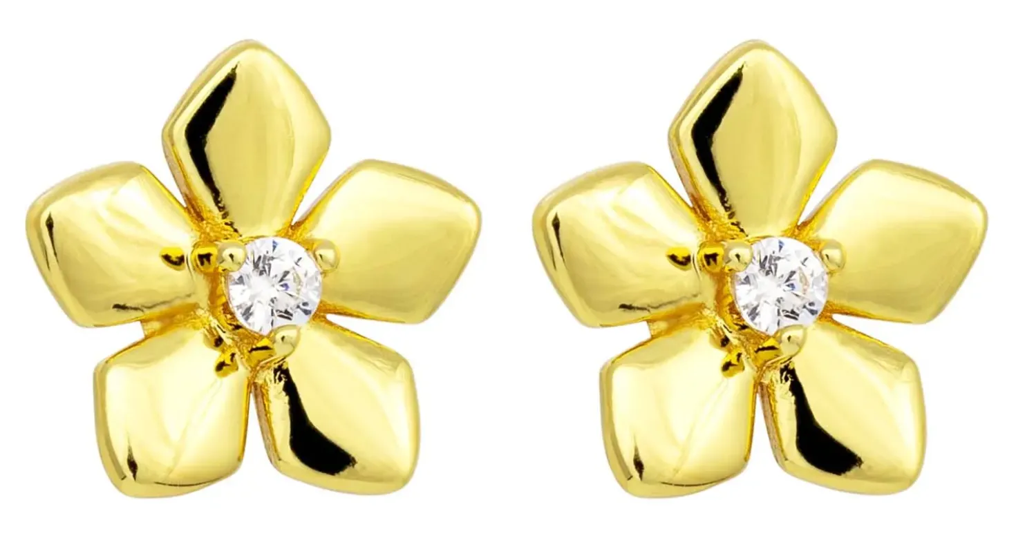 Orecchini a perno - Zirconia Blossom