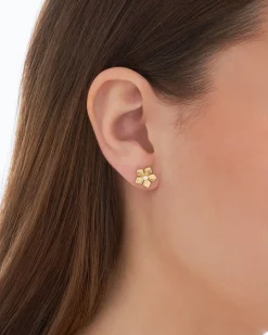 Orecchini a perno - Zirconia Blossom