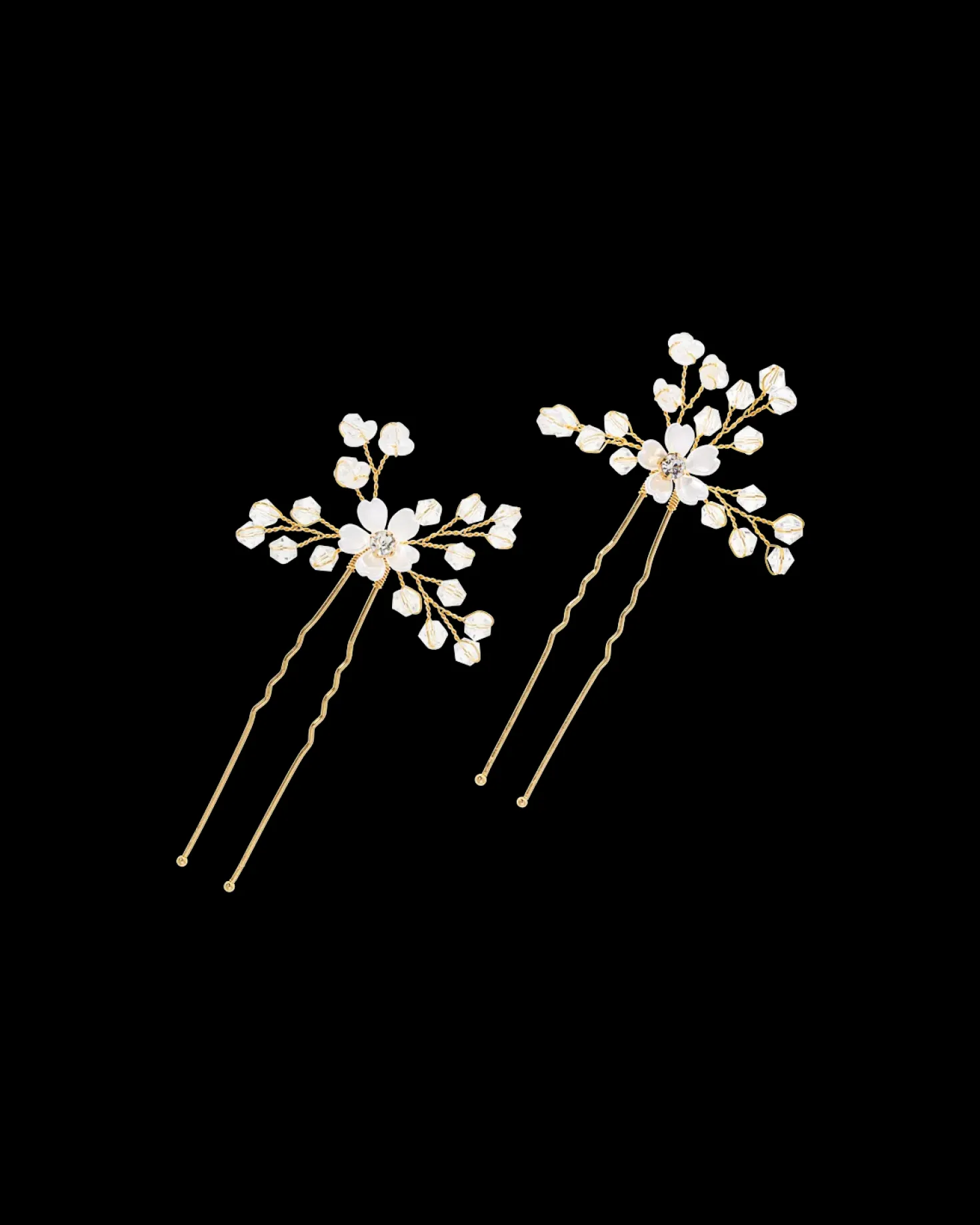 Set di forcine per capelli - Golden Wonder