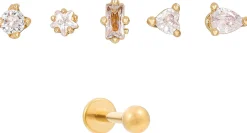 Set di piercing - Various Cubics