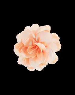 Spilla - Apricot Flower