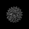 Spilla - Dark Bloom