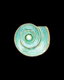 Spilla - Turquoise Shell